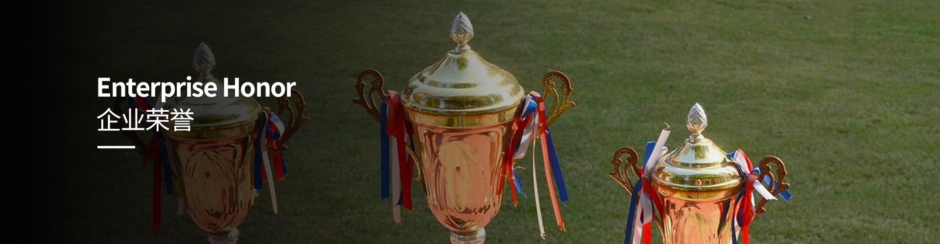 一级做A爱片特黄在线观看